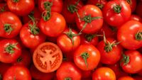 TOMATE